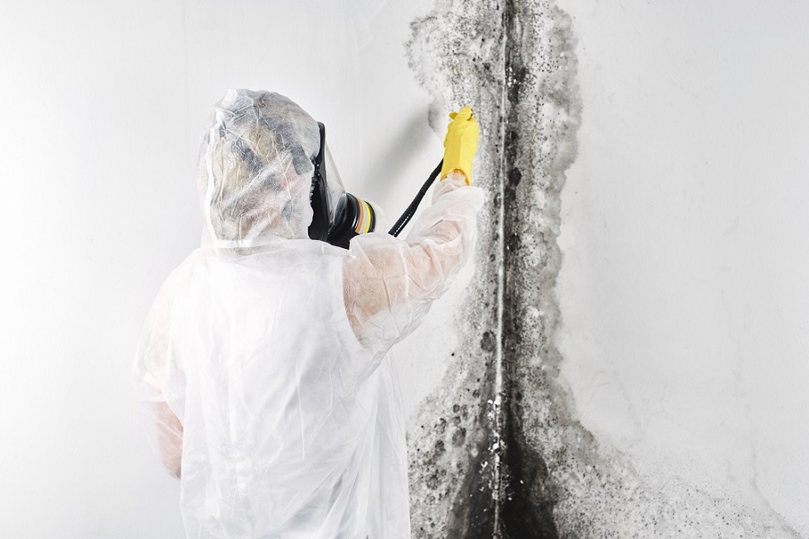 Mold and Mildew Removal